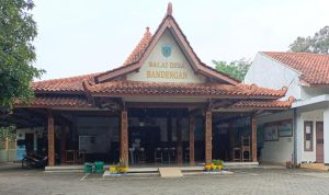 IMG-20250122-WA0002